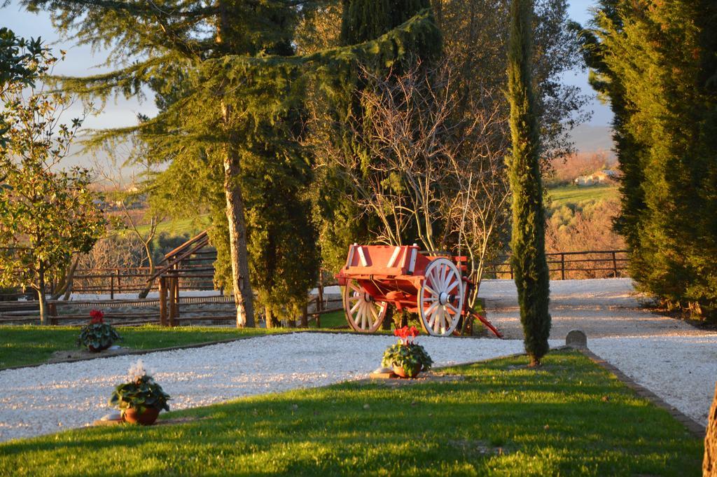Agriturismo La Collina Pitigliano Habitación foto